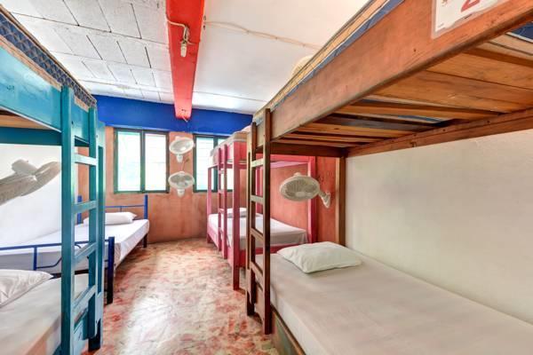 Hostel Playa Playa del Carmen Phòng bức ảnh